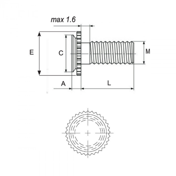 Self-clinching concealed head studs CFHC