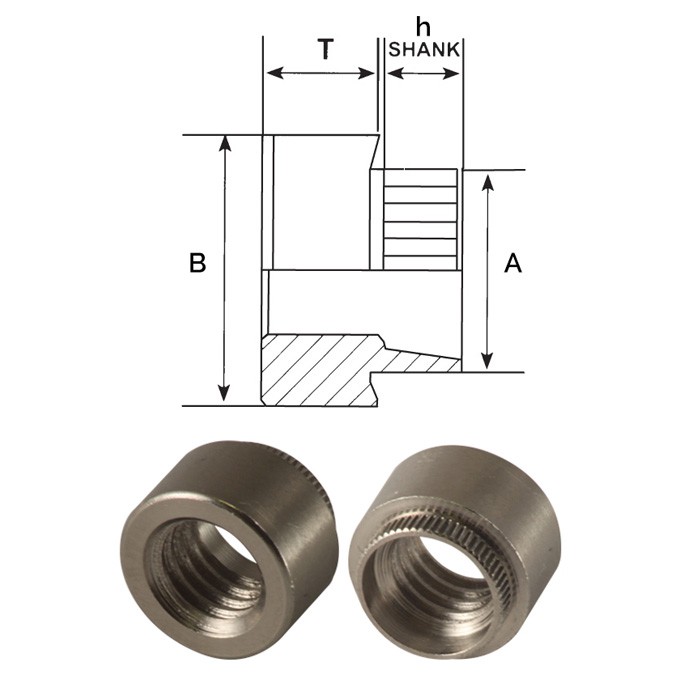 Dadi a ribadire acciaio inox